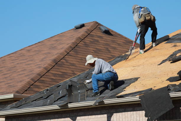 Best Roof Moss and Algae Removal  in Minneola, FL